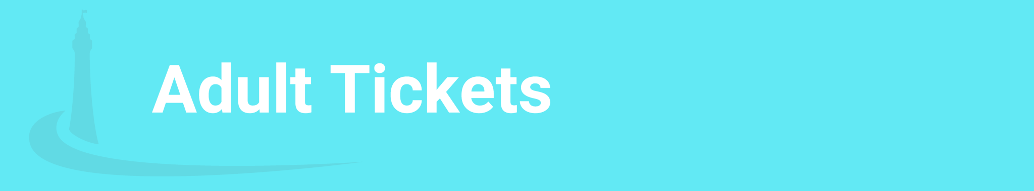 adult ticket header image